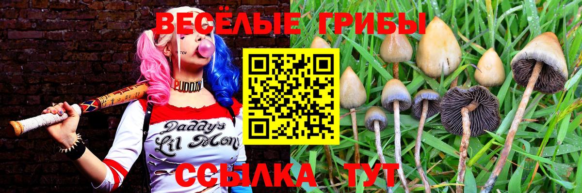 Псилоцибиновые грибы ЛСД Новоуральск