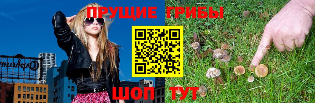 Псилоцибиновые грибы Cubensis  Галлюциногенные грибы ЛСД  Вход с VPN  Новоуральск 